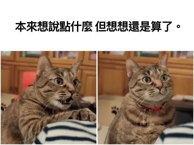 コメントの添付画像
