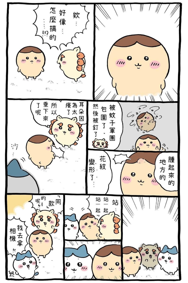 留言附加圖片