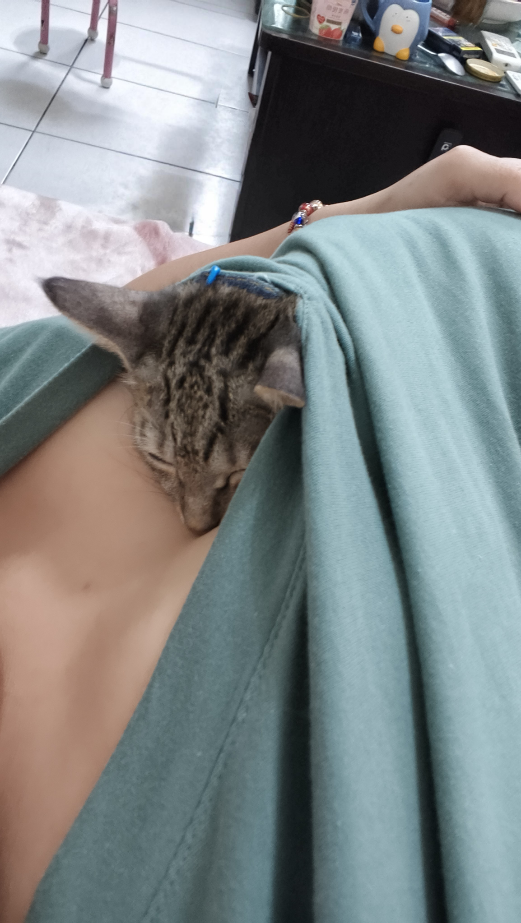댓글 첨부 이미지