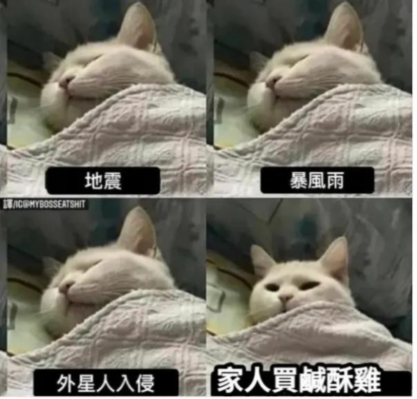 留言附加圖片