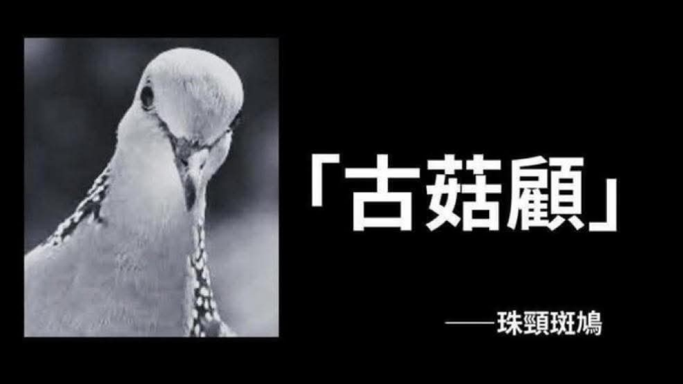 コメントの添付画像