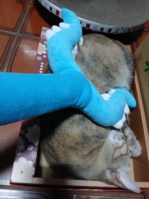 댓글 첨부 이미지