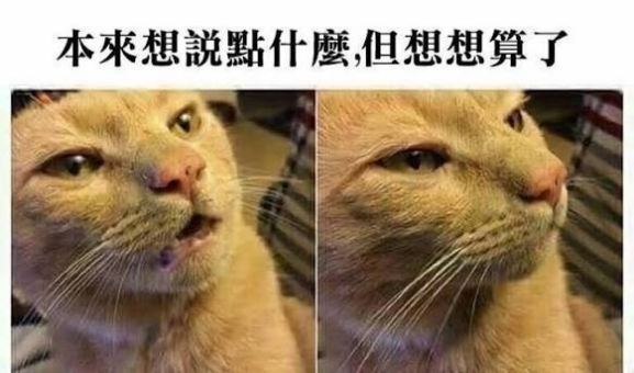 コメントの添付画像