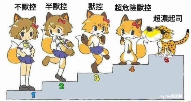 留言附加圖片
